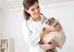 veterinary